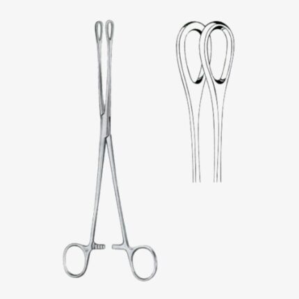 Foerster Sponge Holding Forceps BJ Straight