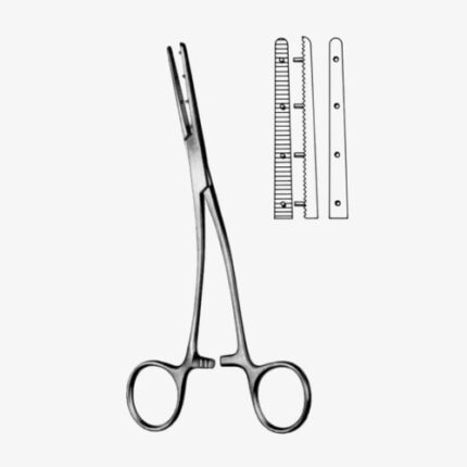 Mastin Muscular Fcps left 17cm