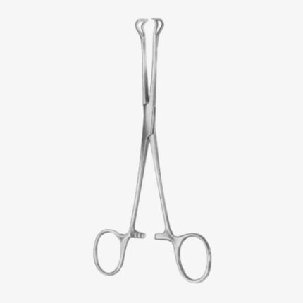 Babcock (Standard) Tissue Forceps BJ