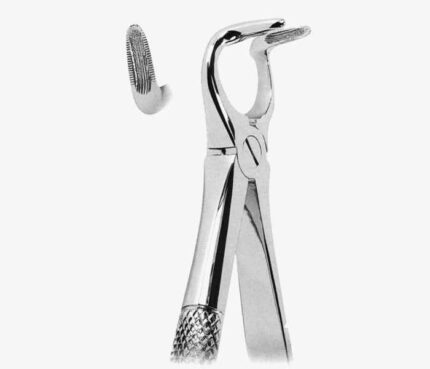 Extracting Forceps