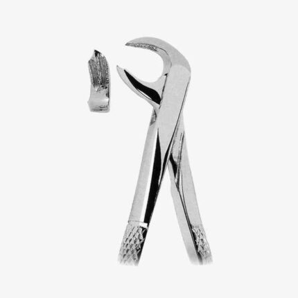 Extracting Forceps