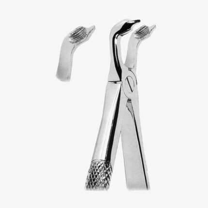 Extracting Forceps