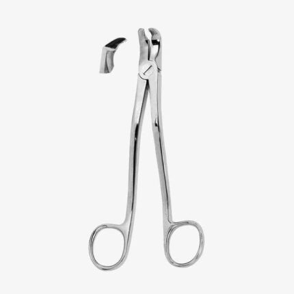 Extracting Forceps