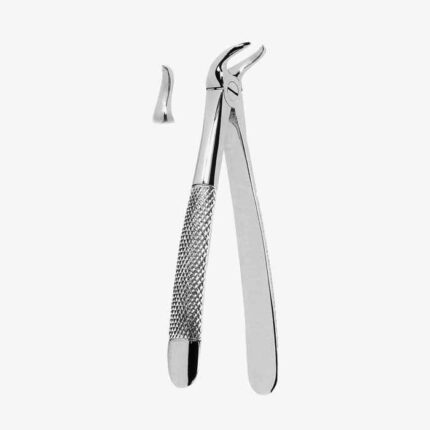 Extracting Forceps