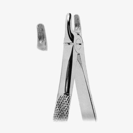 Extracting Forceps