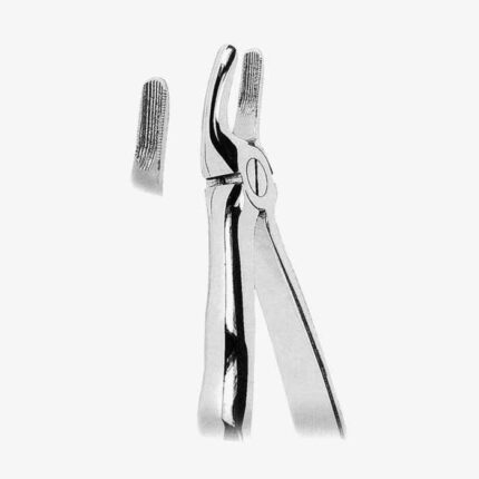 Extracting Forceps