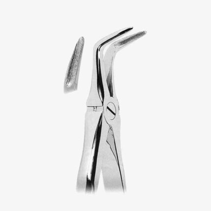 Extracting Forceps