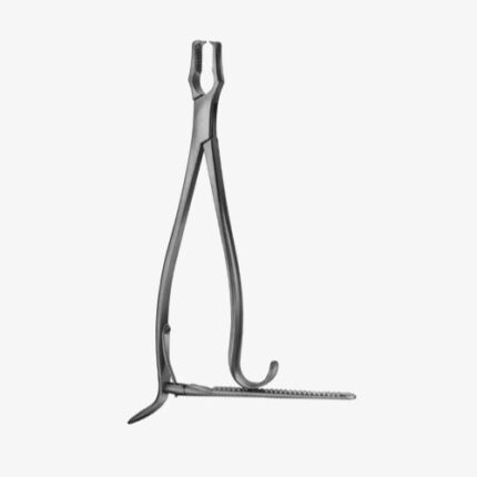 Kern Bone Holding Forceps