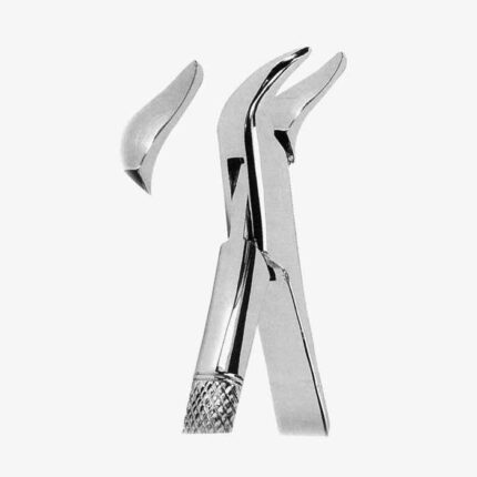 Extracting Forceps American Pattern