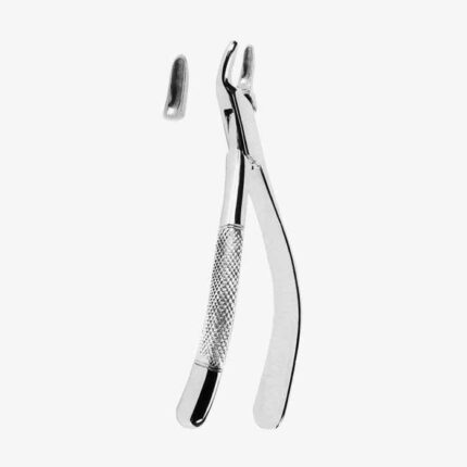 Extracting Forceps American Pattern