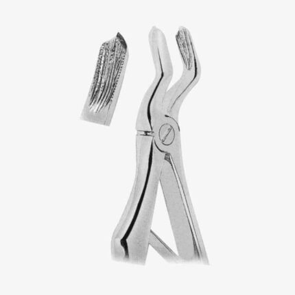 Extracting Forceps For Children- Klein Pattern