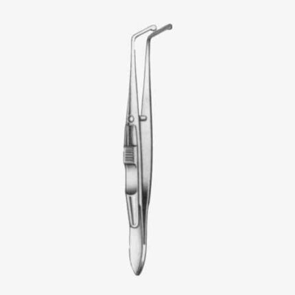 Worth Muscle Forceps