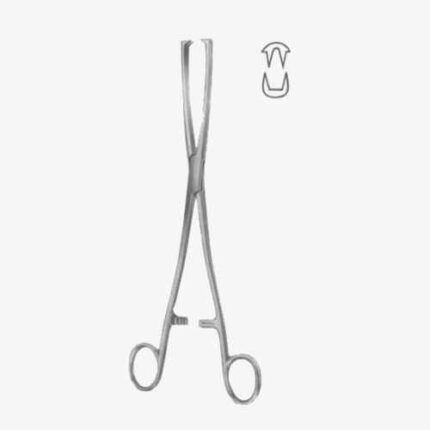 Museux Tenaculum Forceps